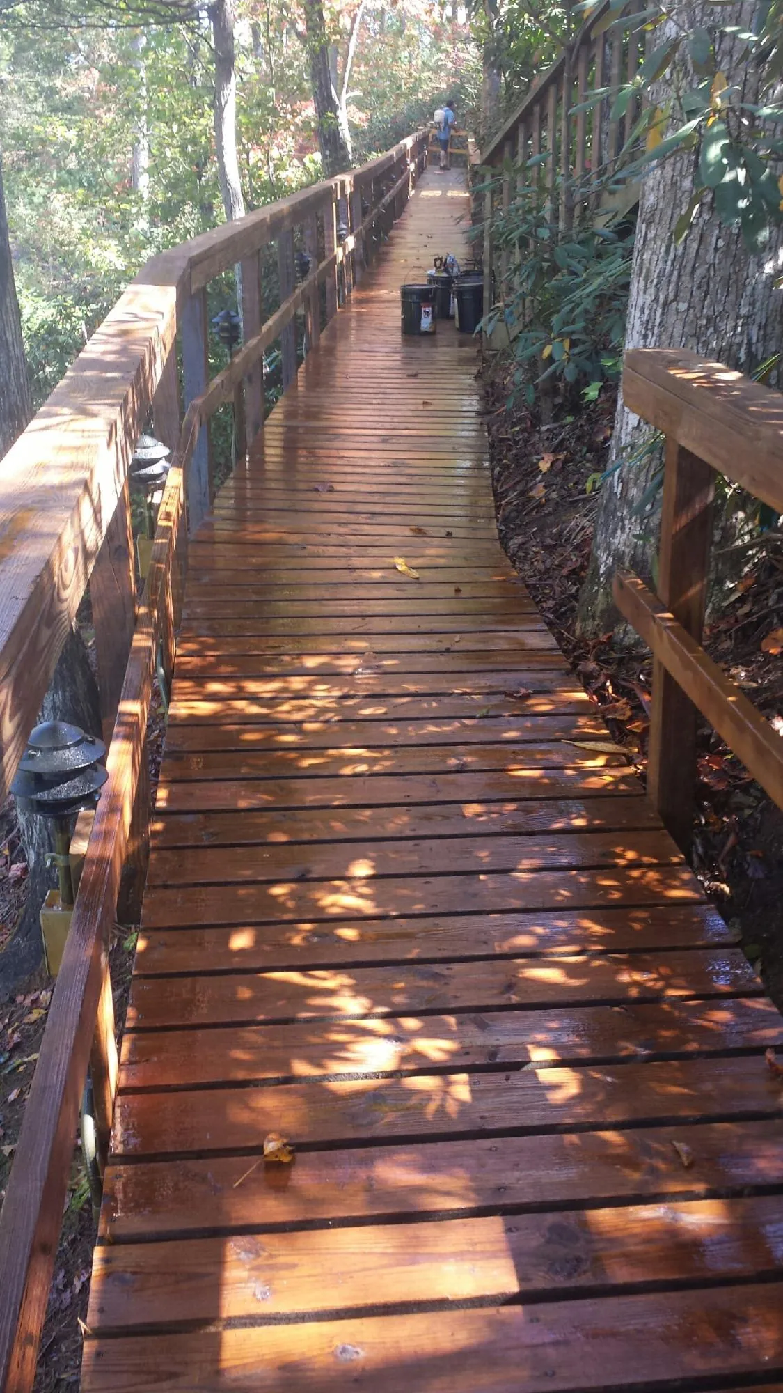 Freshly stained wood walkway winding through the woods in Meriden